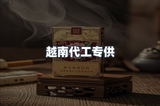 越南代工专供